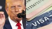 Trump no da tregua: Revisan visas de más de 55 millones de personas para revocar o deportar