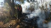 Cochabamba: Sofocan el incendio en el parque Tunari al 100%