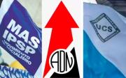 Resultados: El MAS salva su personería por 0,17%