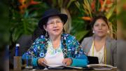 Bolivia logra que OTCA acepte propuestas para la defensa de la Amazonia