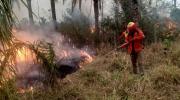 Gobierno refuerza monitoreo aéreo y control de incendios forestales en Santa Cruz