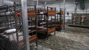Jueza ordena desmantelar el centro de detención 'Alligator Alcatraz': este es el plazo que da la sentencia