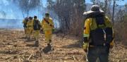 Bomberos controlan incendio en Erquis, pero hay otros en San Blas y Churquis