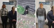 Maltrato animal: rescataron a varios perros abandonados en Berisso y la Justicia imputó a dos mujeres