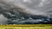 Precipitaciones abundantes en el agro: “El daño ya es un desastre total”