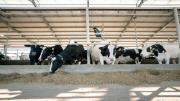 Argentina lidera la producción global de leche: “Tiene un potencial tremendo para el mercado internacional”