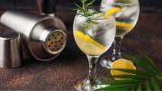 El gin argentino conquista Europa: Donde hay capacidad de consumo, el producto explota