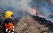 Gobierno reporta daños en 9 áreas protegidas