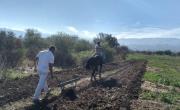 Freno al desguace del INTA: qué significa para productores y por qué el gobierno se aferra al ajuste