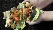 No desperdicies las sobras de tu comida: cinco ideas simples para reciclar y ahorrar