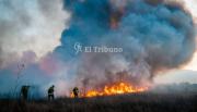 Gobierno y municipio unificaron esfuerzos contra los incendios en Salta: más de cien efectivos y distintas fuerzas en puntos críticos
