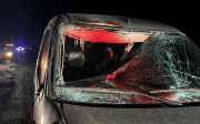 Chocaron violentamente contra un caballo en la Ruta 17 de Neuquén: Siempre es la misma problemática