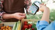 Fin de pagos SNAP en agosto: descubra quiénes son los últimos beneficiarios en recibir su dinero