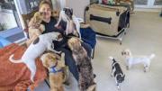 Las mascotas abandonadas por los migrantes deportados agravan la crisis de los refugios animales en EE.UU.