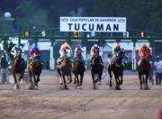 El turf tucumano pone primera rumbo al Batalla de Tucumán