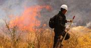 Hay cuatro incendios activos en Santa Cruz y ministro advierte que el fuego es provocado