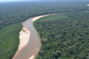 Bolivia puede acceder a $us 2.000 millones para preservar la amazonía
