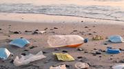 Detectan por primera vez microplásticos en el zooplancton marino de América Latina