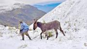 El Tunari sorprende cubierto de nieve y fuertes vientos marcan presencia en Cochabamba