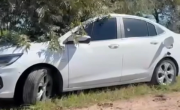 San Antonio de Areco: hallan muertos a un hombre y una mujer de un auto tiroteado