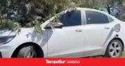 Crimen en San Antonio de Areco: hallan dos cuerpos en un auto tiroteado