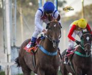 He’s A Rockstar mostró su poderío y le apunta al Gran Premio Batalla de Tucumán