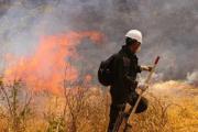 Cuatro incendios forestales activos amenazan a Santa Cruz