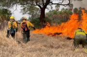 Incendios sin castigo