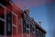 Independiente identificó a 25 violentos tras los incidentes contra la U de Chile y la Conmebol avanza con la investigación