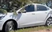 Identificaron a la pareja muerta a balazos en un auto en Areco y se confirmó el femicidio: qué dicen las pericias