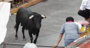 IMPACTANTE VIDEO: Hombre resultó gravemente herido en plena feria taurina, lo cornearon en el abdomen