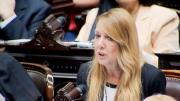 Alejandra Torres propone unificar ANDIS y usar comisiones médicas