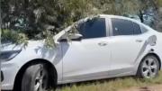 San Antonio de Areco: encontraron muertos a un hombre y una mujer dentro de un auto 
