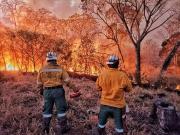Bosques en Bolivia siguen en peligro por vigencia de leyes “incendiarias”
