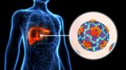 El Día Mundial contra la hepatitis aboga por el acceso a tratamientos