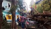 Temporal en Bariloche con vientos de 100 km/h, más de 300 llamados de emergencia y graves destrozos en la ciudad