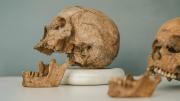 Restos arqueológicos en Colombia revelan una rama humana desconocida