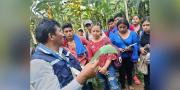 Gobierno impulsa transferencia tecnológica para mejorar la producción de banano y piña en los Yungas