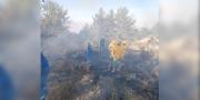 Desde julio, 66 incendios afectaron al país y se movilizó a 1.170 militares en su mitigación