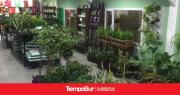 Talleres gratuitos de jardinería para toda la familia