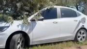 Dos cuerpos, 7 cartuchos de bala y un trapo en el tanque de nafta: el misterio de una pareja en un auto