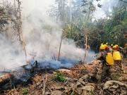 Gobierno informa a la cooperación internacional sobre los incendios forestales y sus requerimientos