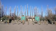 Conmoción en el Ejército: un militar intentó suicidarse en cercanías de un río neuquino