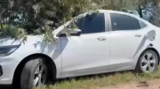 Se confirmó la identidad de la pareja encontrada muerta en un auto y otros detalles del macabro hallazgo