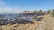 Se registraron cuatro incendios de cañaverales
