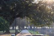 El tiempo en Tucumán: anticipan un martes soleado con una máxima de 27 grado
