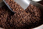 Fedeagro: Exportaciones de café superan el 10% de producción nacional con 110 mil quintales – Correo del Caroní