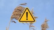 Alerta meteorológica: lluvia y fuertes vientos a una sola provincia este martes 26 de agosto
