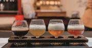 Cerveza con ingredientes silvestres: cómo es esta tendencia artesanal que crece