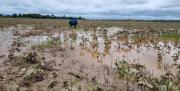 Campesinos del Beni enfrentan crisis por incendios e inundaciones